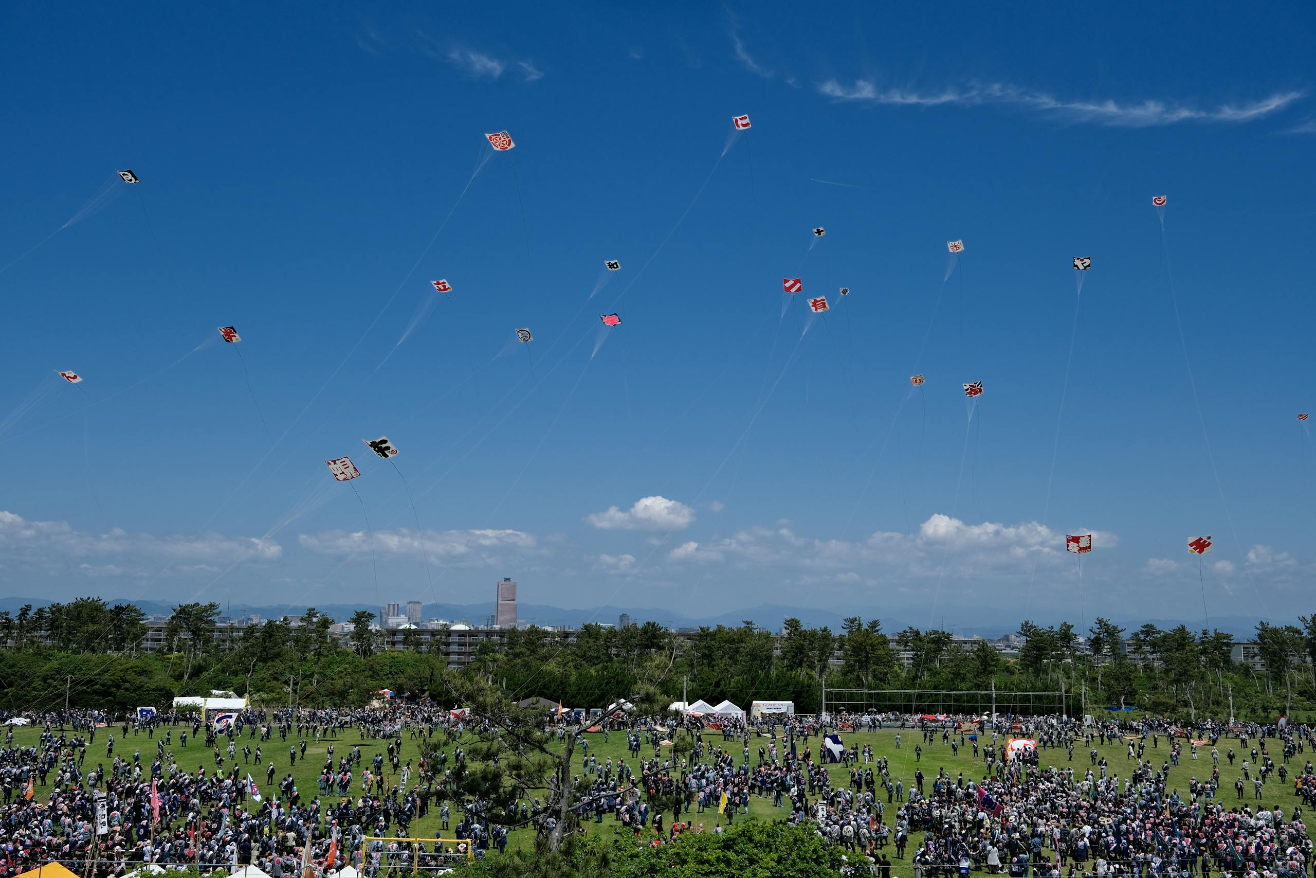 Spectacular view of kites at Hamamatsu Kite Festival, Japan. Perfect summer day outdoor fun with a large crowd.